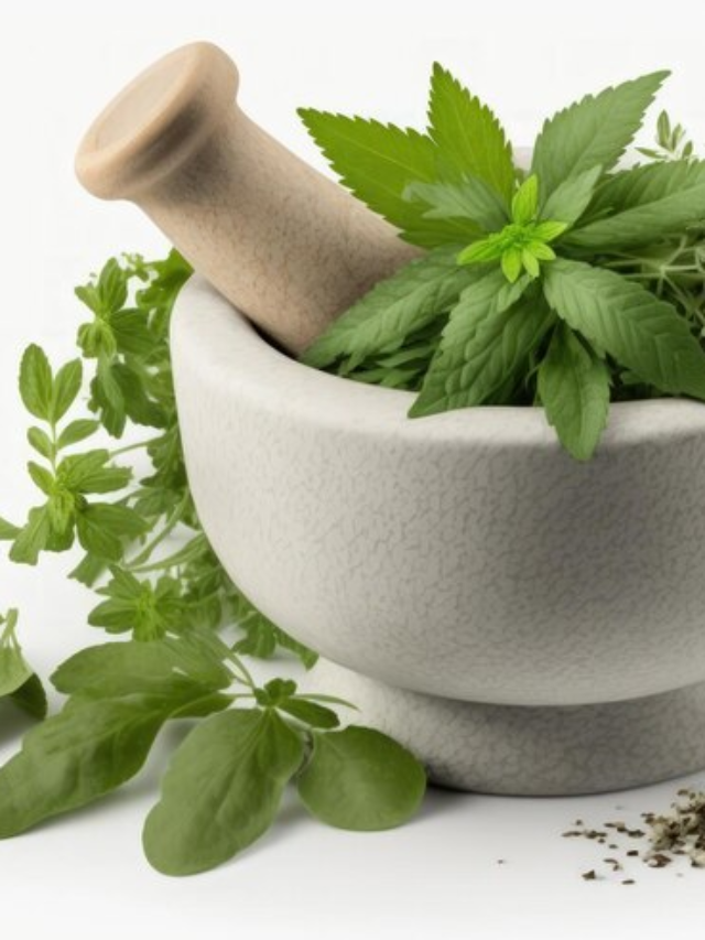 "Stay Refreshed: 7 Summer-Friendly Herbs From Mint to Coriander to Keep Your Body Cool"